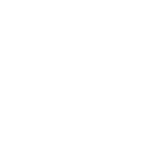 /icon-behavior-health.png